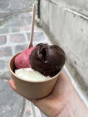 Lemon basil, pomegranate and chocolate (all sorbets)  at Melba Glacier in Paris