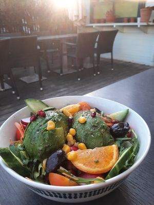 Avocado salad at Bio Pizzeria Vero in Vienna