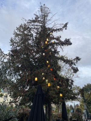   at Bio Pizzeria Vero in Vienna