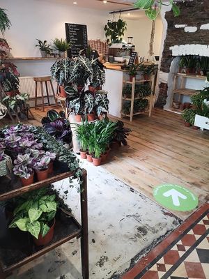 Front view of the shop at The GreenHouse in Looe