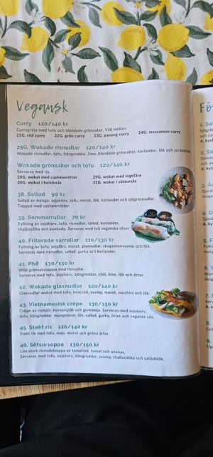 Vegan menu at New Star Saigon in Limhamn