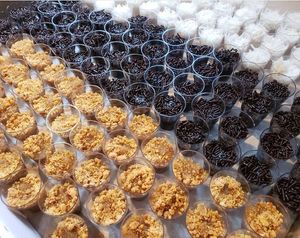 Sweets at Fada Vegan in Natal