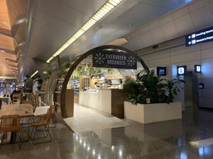 Just right opposite of gate C8  at DOH - Evergreen Organics in Doha