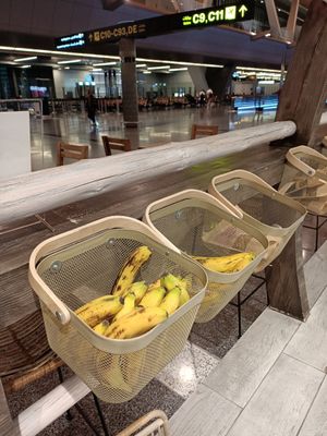  at DOH - Evergreen Organics in Doha