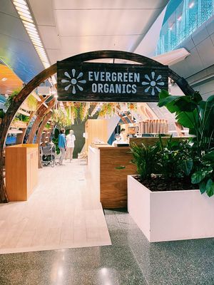 100% vegan cafe at Hamad International Airport  at DOH - Evergreen Organics in Doha