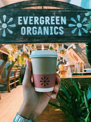 100% vegan cafe at Hamad International Airport  at DOH - Evergreen Organics in Doha