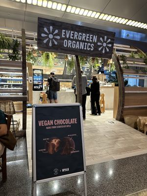   at DOH - Evergreen Organics in Doha