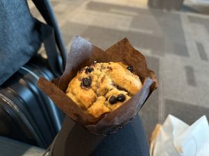   at DOH - Evergreen Organics in Doha