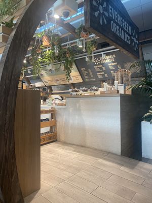   at DOH - Evergreen Organics in Doha