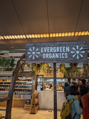  at DOH - Evergreen Organics in Doha