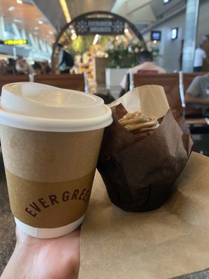   at DOH - Evergreen Organics in Doha