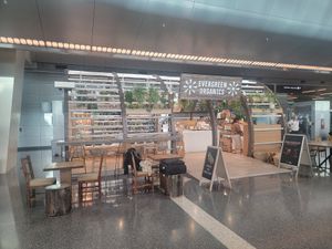  at DOH - Evergreen Organics in Doha