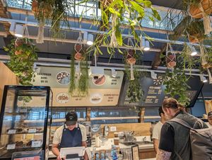  at DOH - Evergreen Organics in Doha