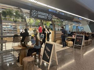   at DOH - Evergreen Organics in Doha