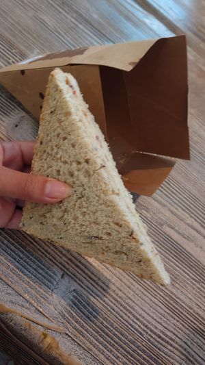 Prepackaged dry chickpea bread at DOH - Evergreen Organics in Doha