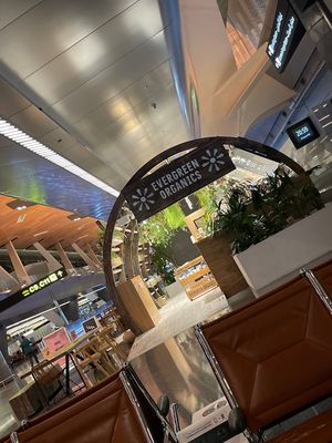 Really lovely place  at DOH - Evergreen Organics in Doha