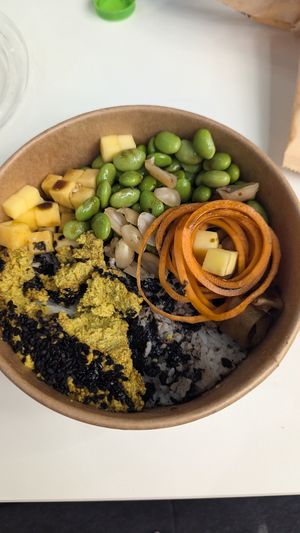  at DOH - Evergreen Organics in Doha