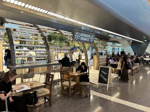   at DOH - Evergreen Organics in Doha