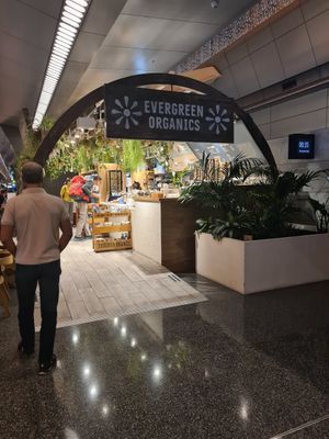Evergreen Organics at DOH - Evergreen Organics in Doha