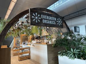 Outsidee  at DOH - Evergreen Organics in Doha