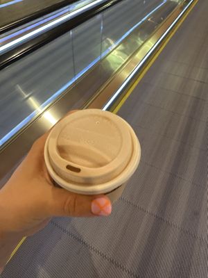   at DOH - Evergreen Organics in Doha