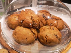  at DOH - Evergreen Organics in Doha