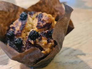  at DOH - Evergreen Organics in Doha