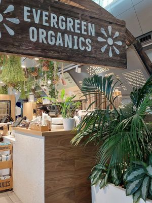 Super pretty and so green! at DOH - Evergreen Organics in Doha