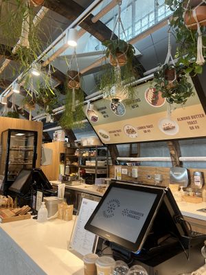   at DOH - Evergreen Organics in Doha