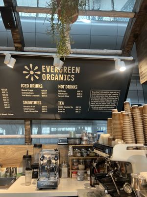   at DOH - Evergreen Organics in Doha