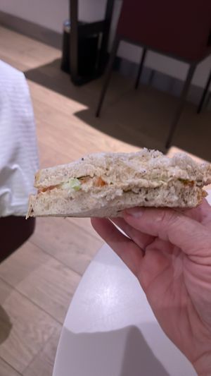   at DOH - Evergreen Organics in Doha