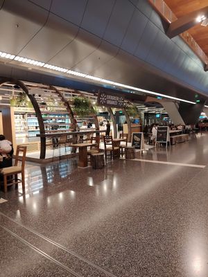 Front at DOH - Evergreen Organics in Doha