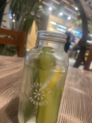 Yum  at DOH - Evergreen Organics in Doha