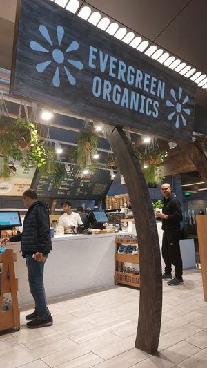  at DOH - Evergreen Organics in Doha