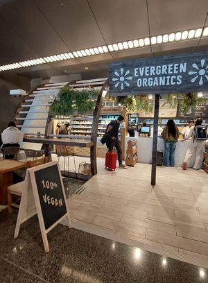  at DOH - Evergreen Organics in Doha