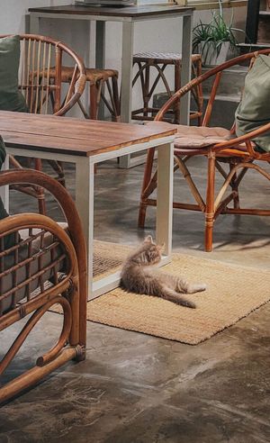   at Kolma in Langkawi