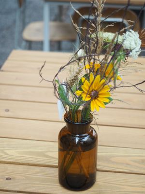 Beautiful outdoor seating at Etapa in Prague