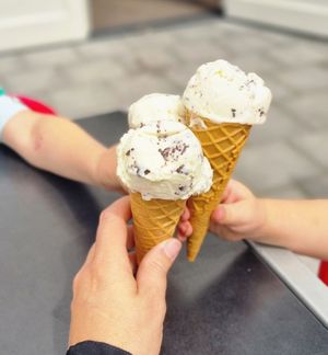  at IJssalon Pierre in Budel