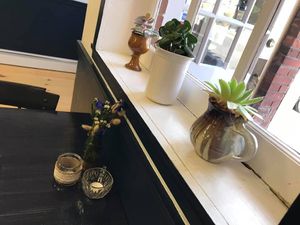 Succulents in the window at Col's Kitchen in Concord