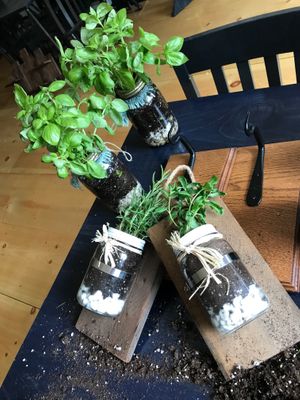 Herbs, herbs, herbs! at Col's Kitchen in Concord