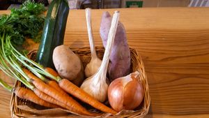 organic vegetables from certified local farmer  at Mondo Natura in Akashi