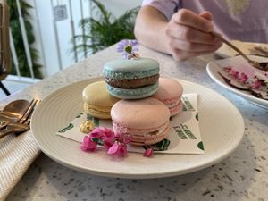 MACARONS!  at Nature's Charm in Bangkok