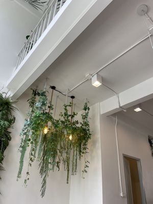   at Nature's Charm in Bangkok