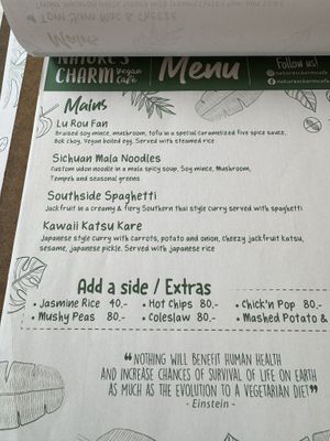 Some more mains from the menu  at Nature's Charm in Bangkok