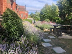 The lavender garden at Earth Arts & Culture Cafe in Brighton