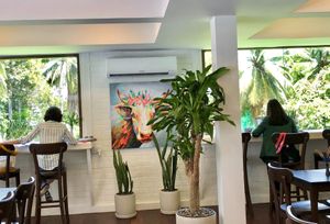 Working spaces. at Glück Artisan Food and Coffee in Phuket