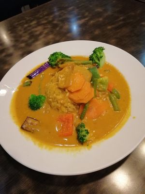 Curry gravy rice at North South East West Fusion Vegetarian Restaurant 东南西北素食融合餐馆 in Central Singapore