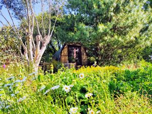 Juniper at The Greenhouse Spa Retreat in Saltash