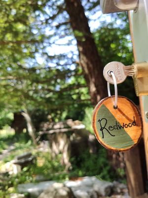 Redwood at The Greenhouse Spa Retreat in Saltash