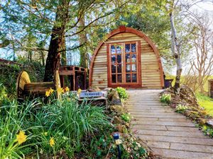 Redwood at The Greenhouse Spa Retreat in Saltash